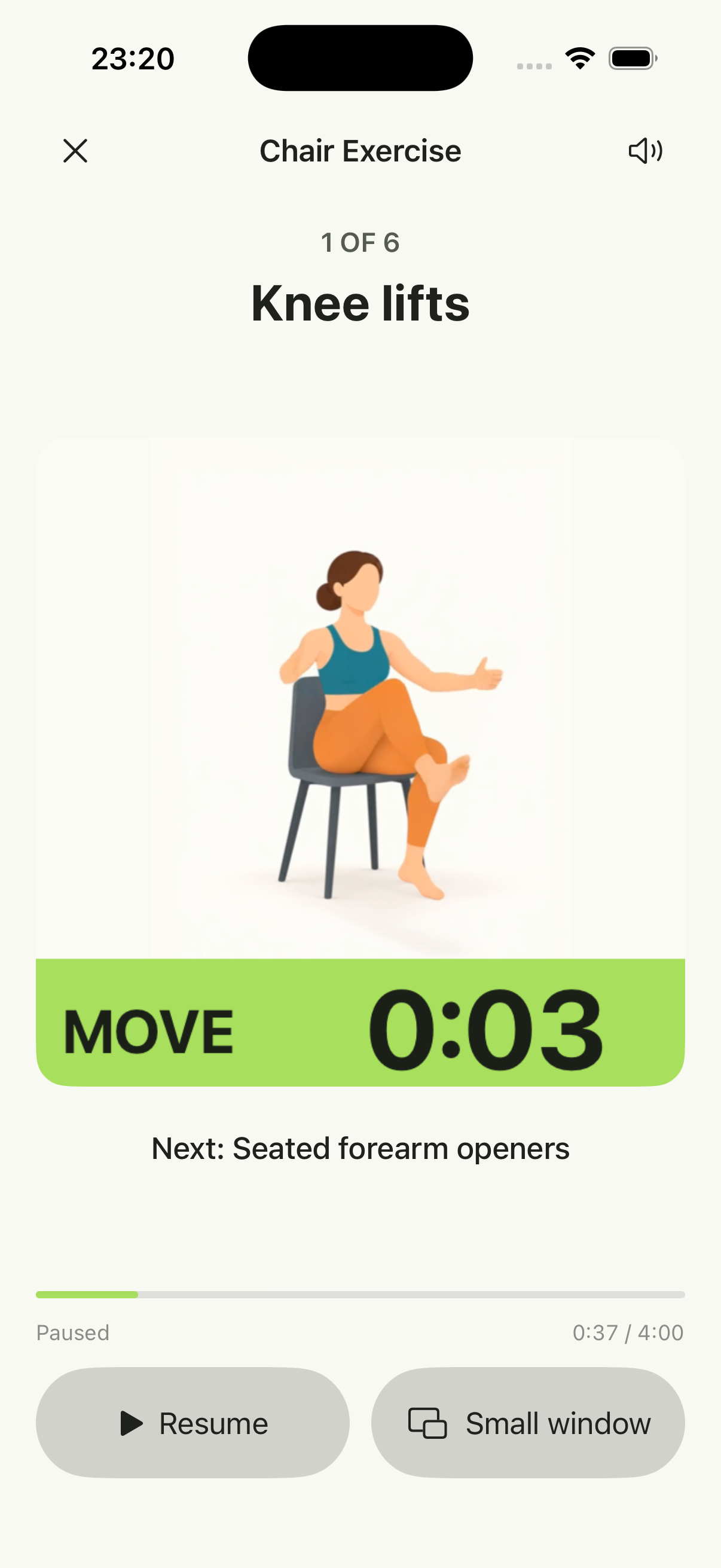 FitAnyway’s actual follow-along screen with knee lifts, a countdown and the Small window button